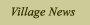 Village News